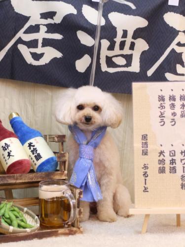 20240608リコちゃん